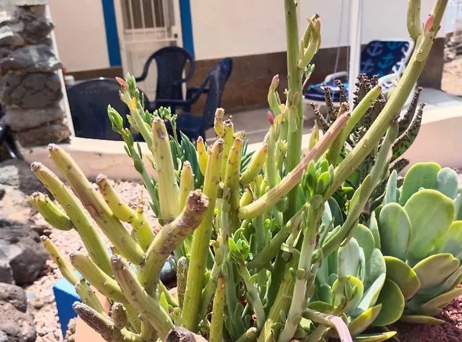 別荘 Casa Marinera En La Orilla Del Mar *