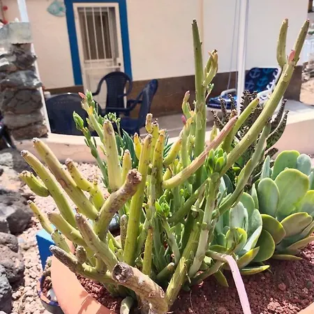 Dom wakacyjny Casa Marinera En La Orilla Del Mar *